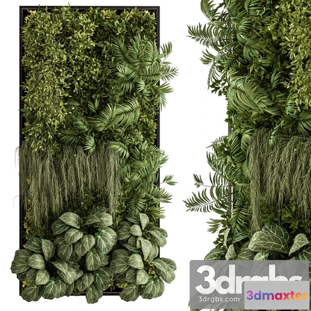 1060694 - Vertical garden metal frame - wall decor 34