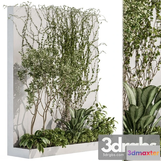 1060696 - Vertical garden outdoor - wall decor 41