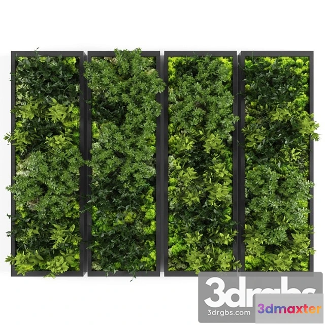 1060710 - Vertical garden148