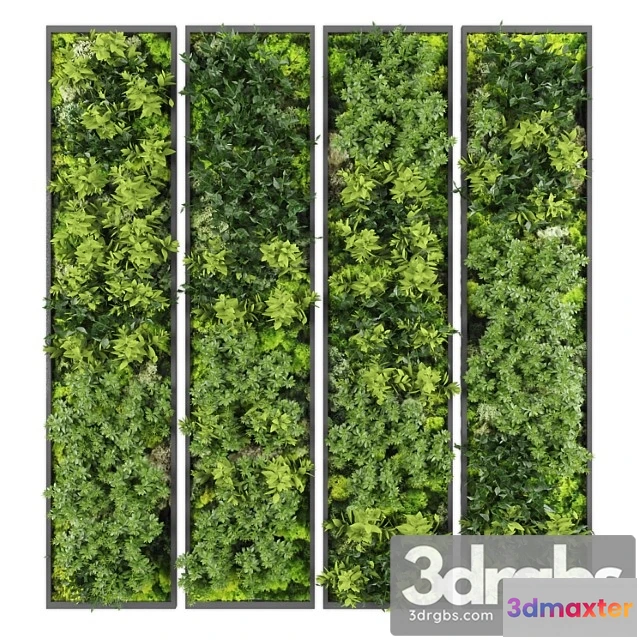 1060712 - Vertical garden163