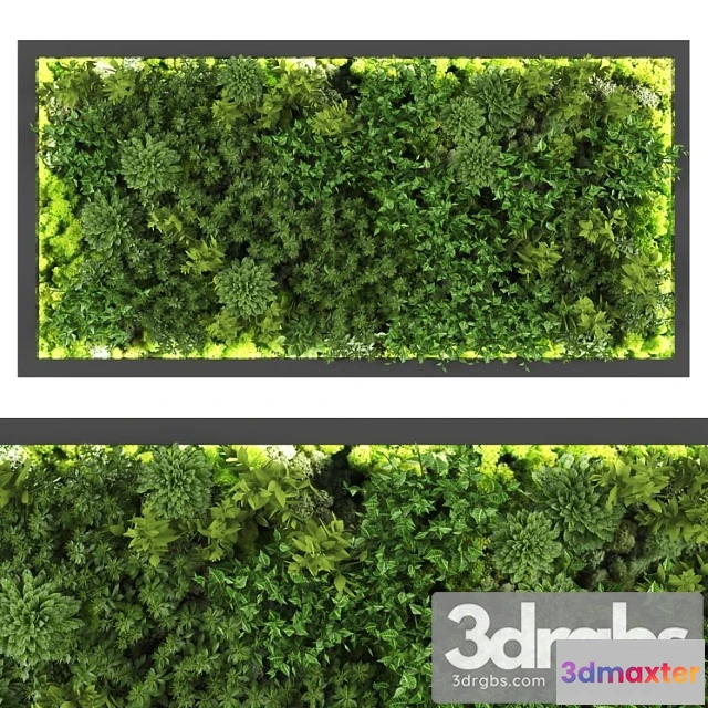 1060714 - Vertical garden169