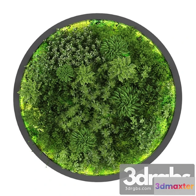 1060716 - Vertical garden188 - No.2