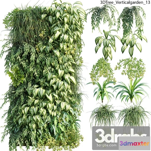 1060752 - Verticalgarden - green wall 13