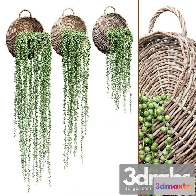 1060762 - Wicker basket one