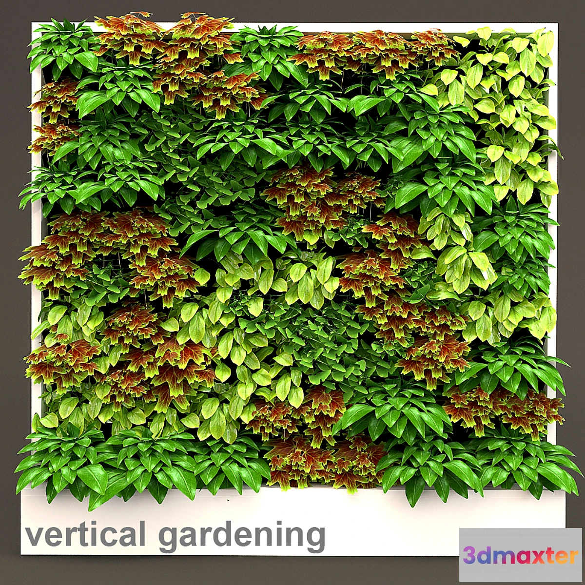 1285990 - Vertical gardening 3 3D Max