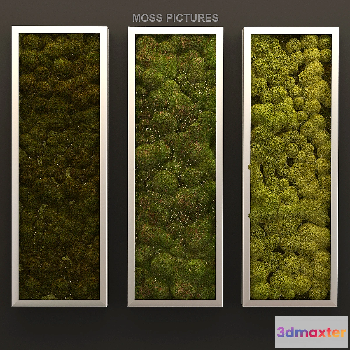 1288752 - Moss pictures 3D Max