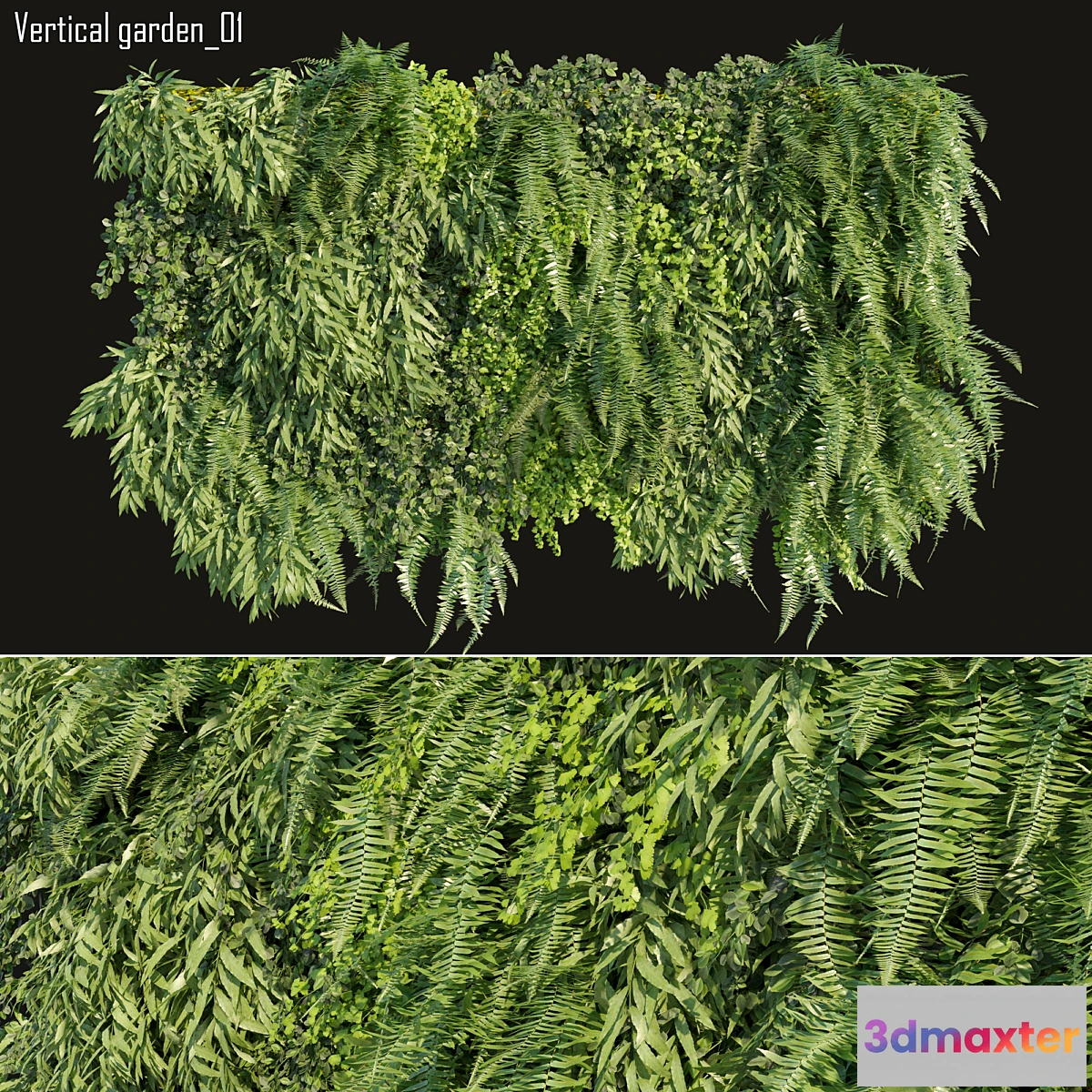 1294329 - Vertical garden 01 3D Max