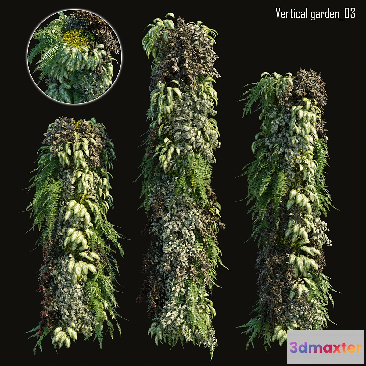 1296799 - Vertical garden 03 3D Max