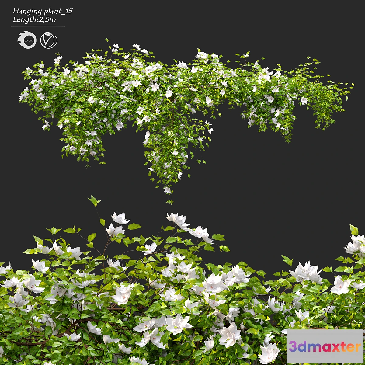 1298278 - Hanging Plant 15 - No.2 3D Max