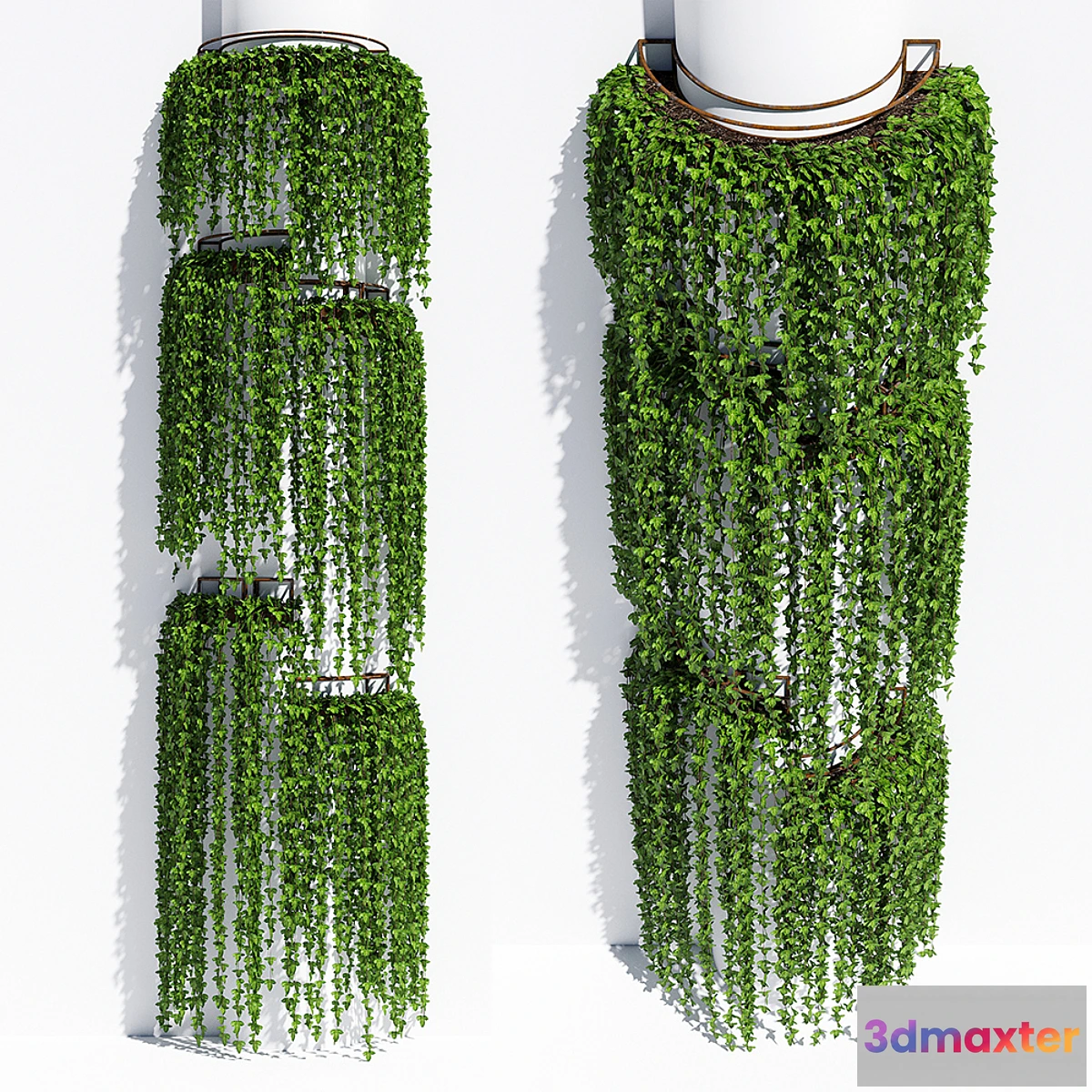 1299119 - Round box ivy 3D Max