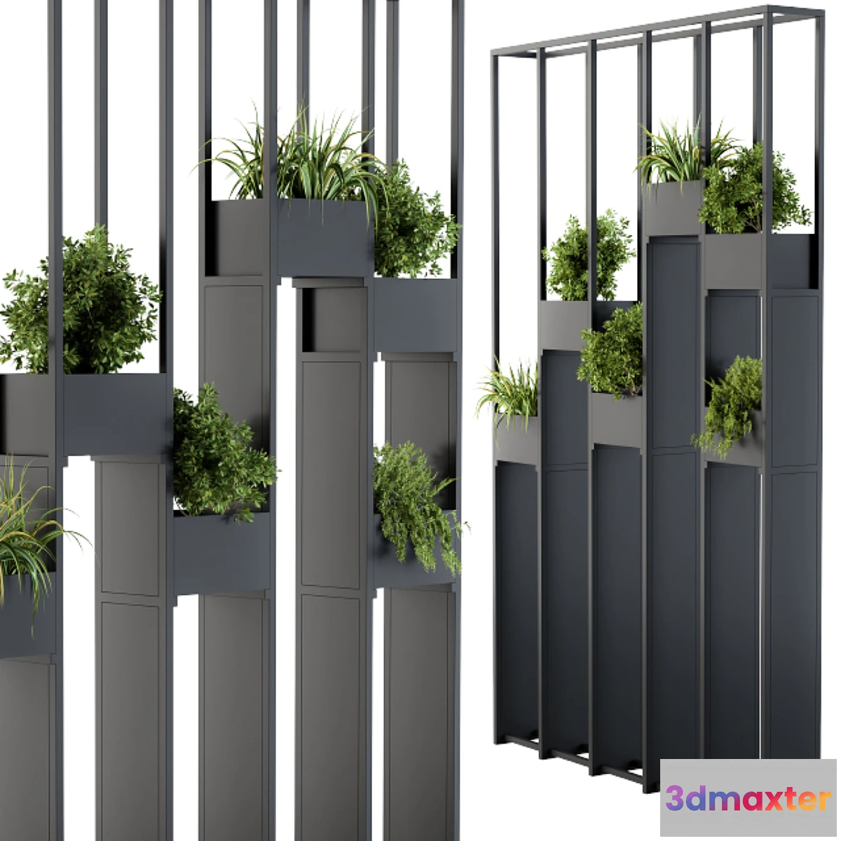 1299154 - Plants partition 3D Max