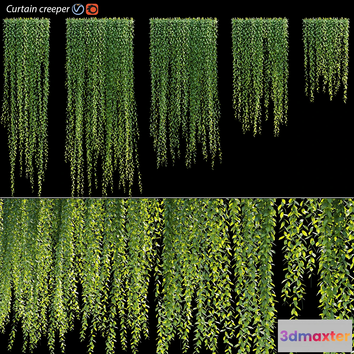 1305614 - Vernonia Elliptica  Curtain creeper 3D Max