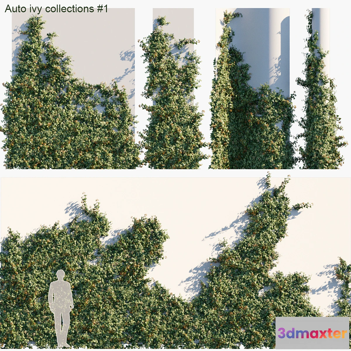 1313260 - Auto ivy collections # 1 3D Max