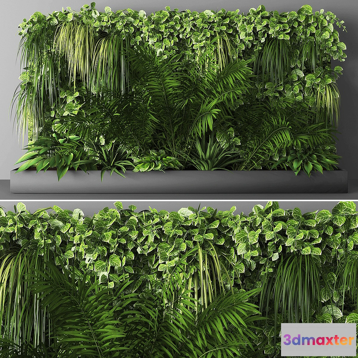 1320328 - Vertical garden 065 3D Max