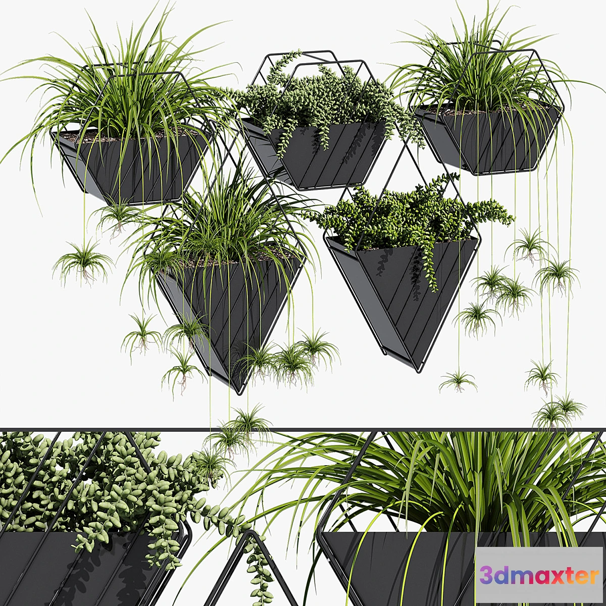 1322536 - Tulan hanging planter 3D Max