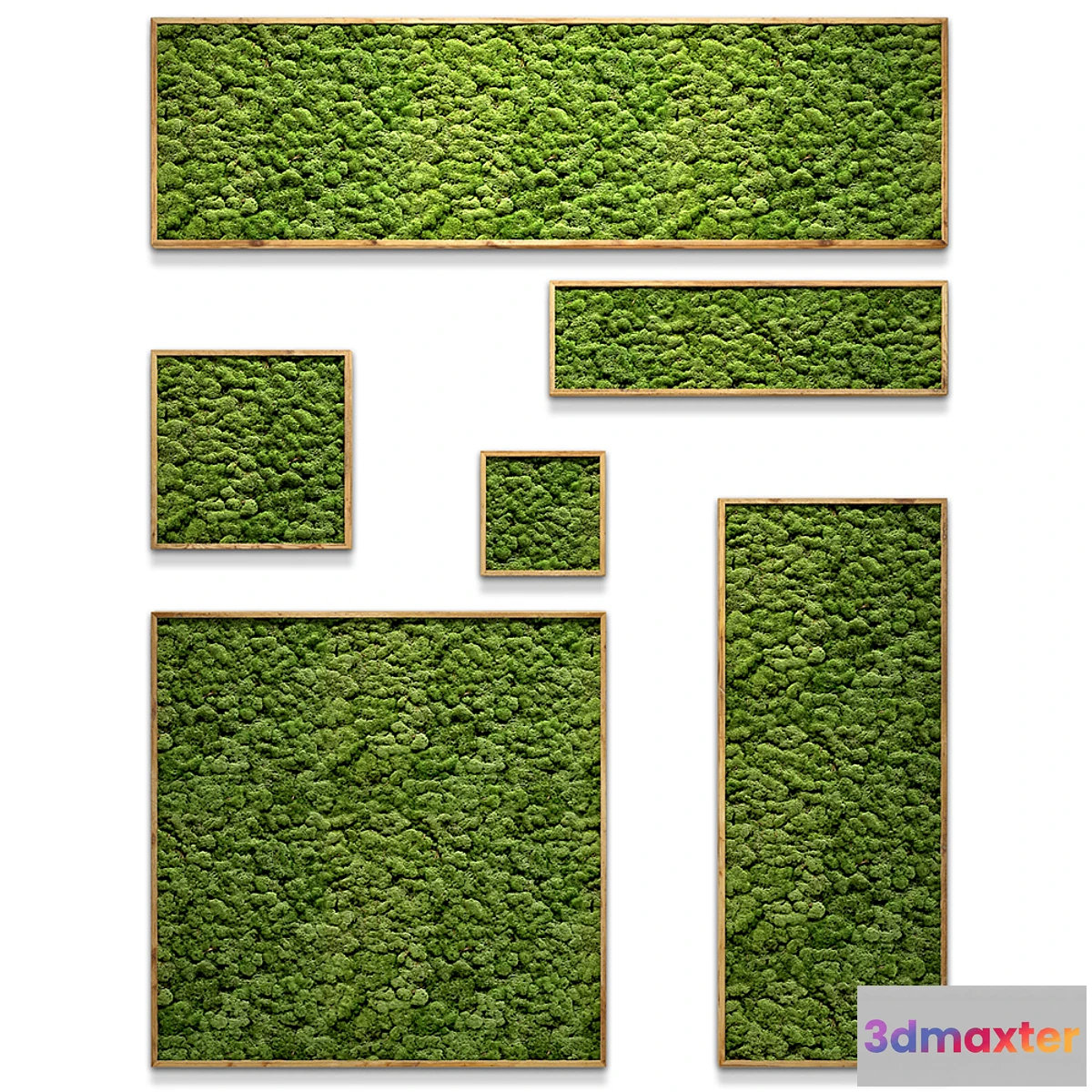 1326092 - Framed moss 3D Max
