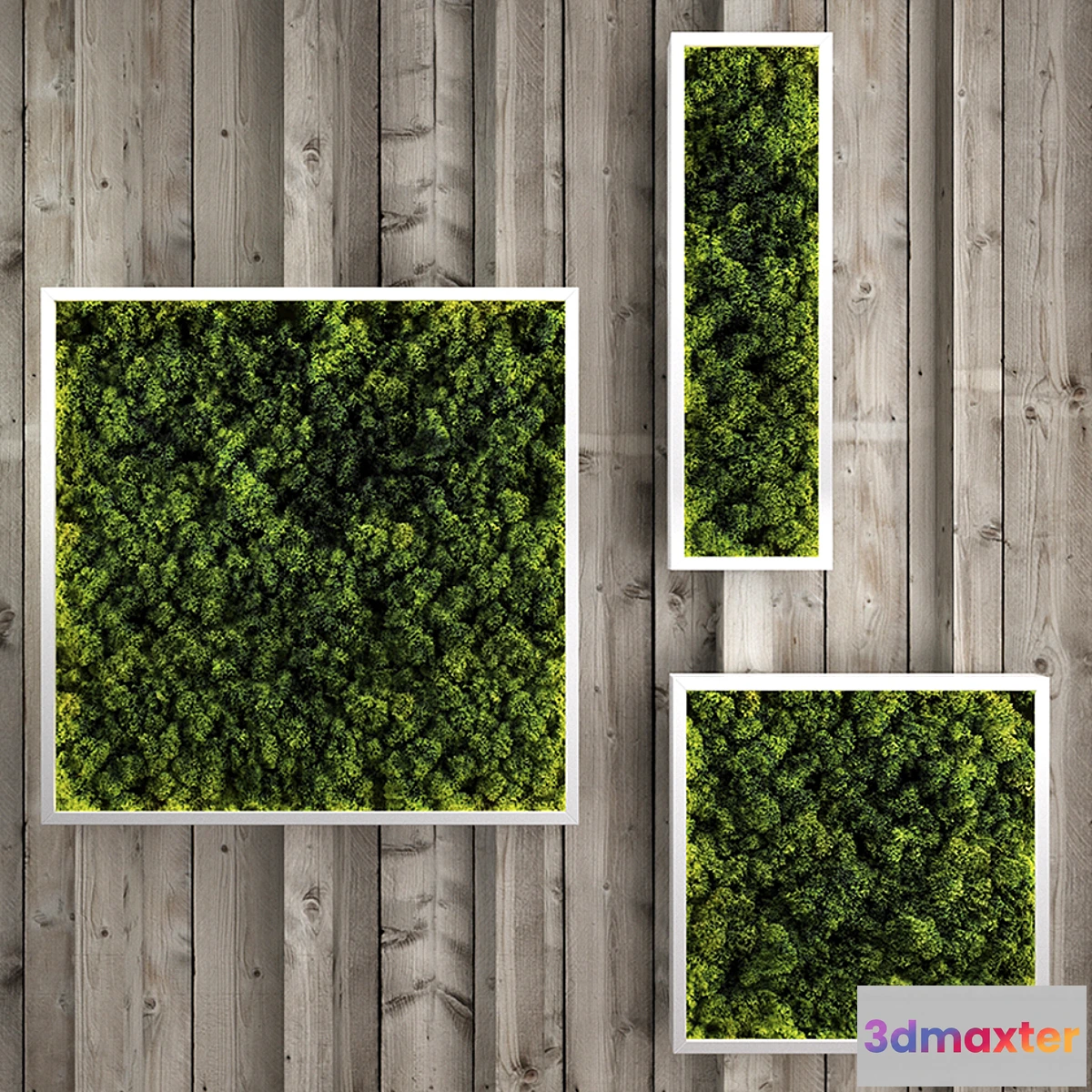 1326200 - Moss modules 3D Max