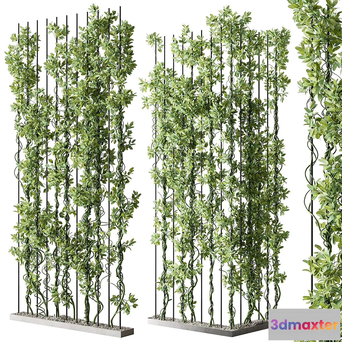 1328670 - Vertical Garden Partiton - Set 111 3D Max