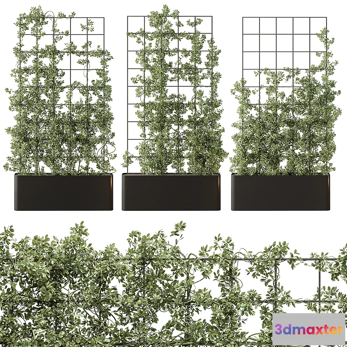 1333614 - Vertical Garden Partiton - Set 101 - No.2 3D Max
