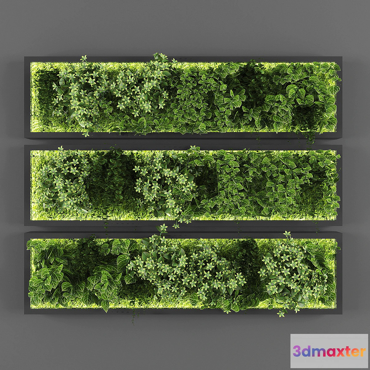 1338420 - Vertical garden 074 3D Max