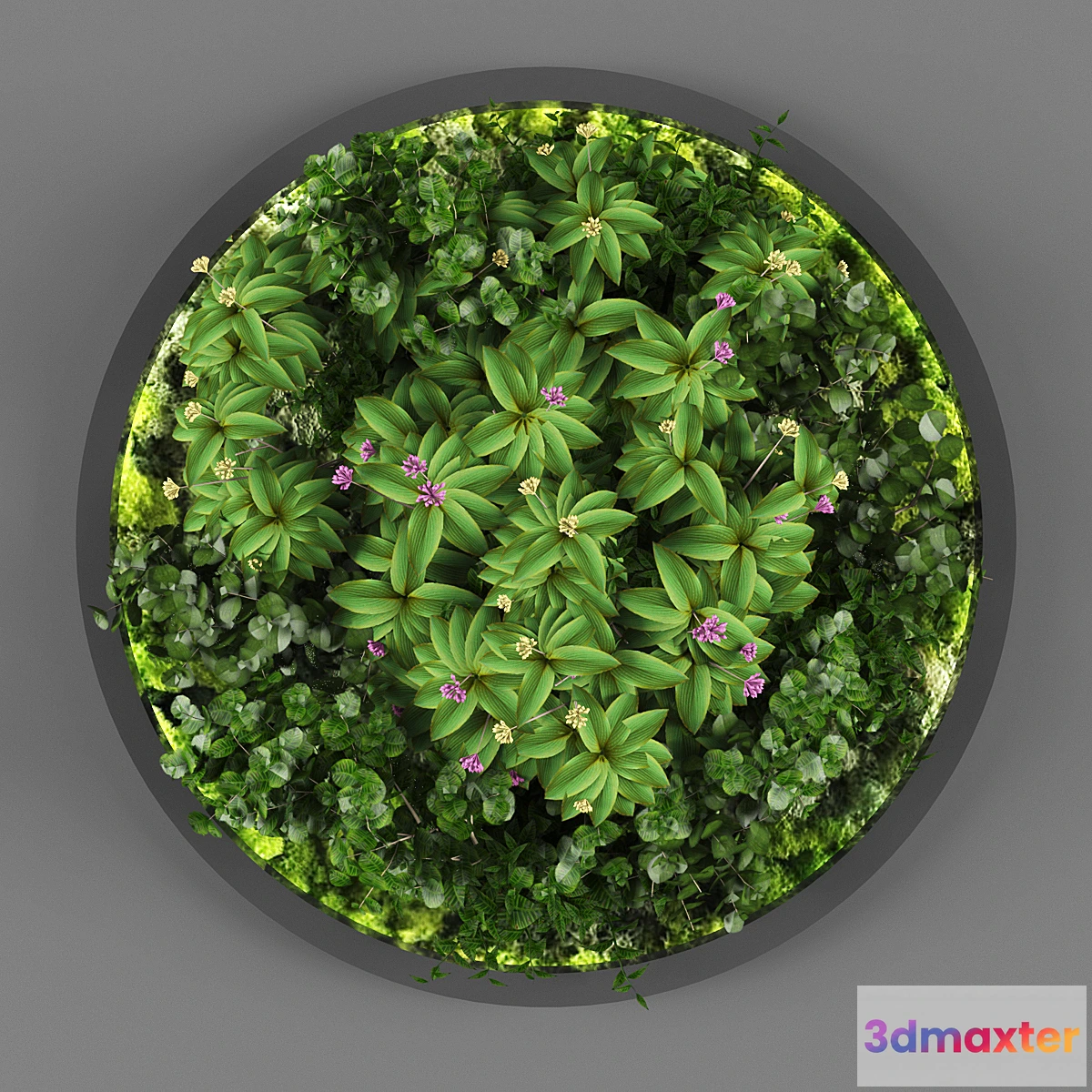 1338557 - Vertical garden 113 3D Max