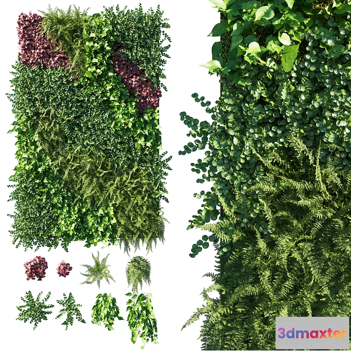 1343501 - Vertical Garden Green Wall 09 3D Max