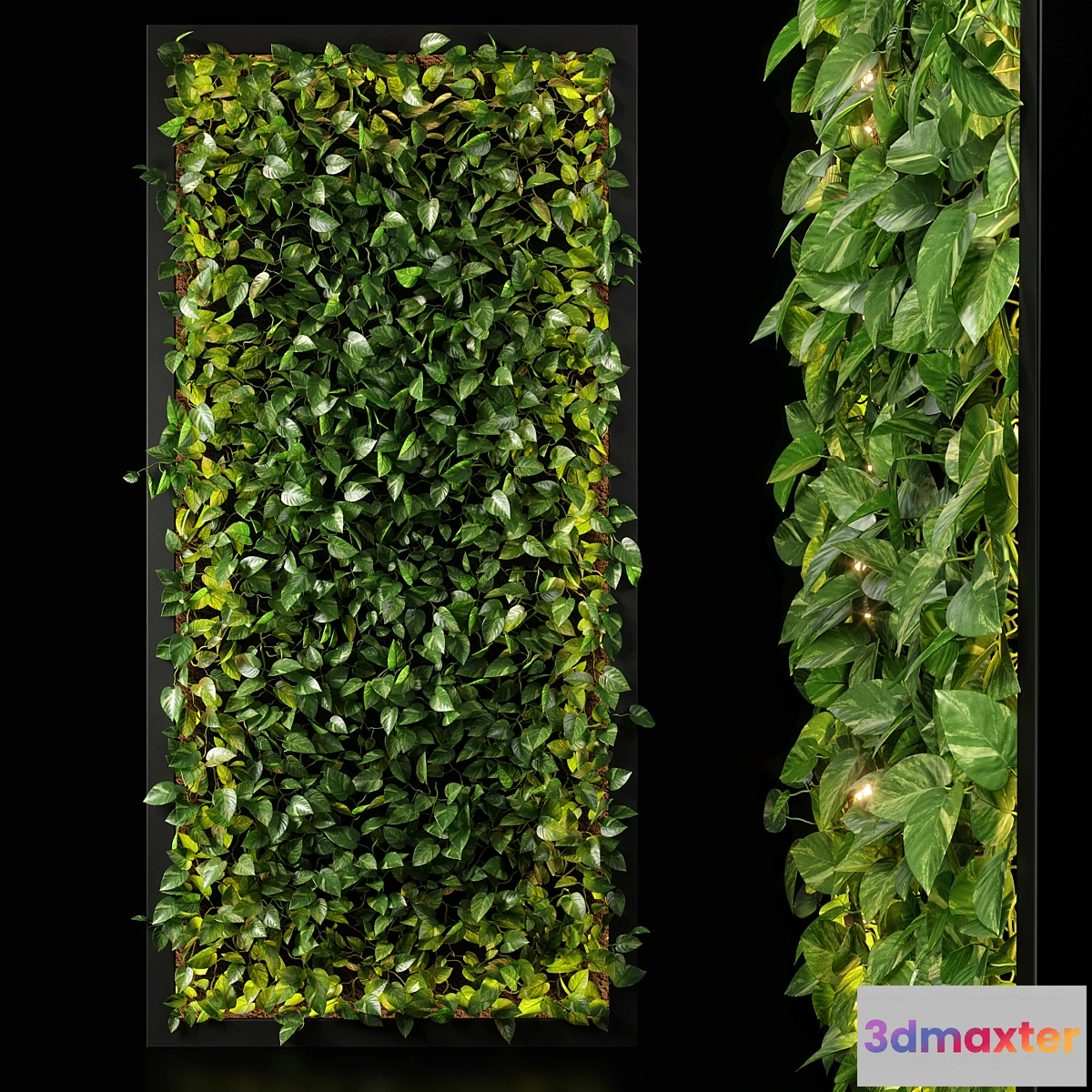 1345764 - vertical garden 10 3D Max