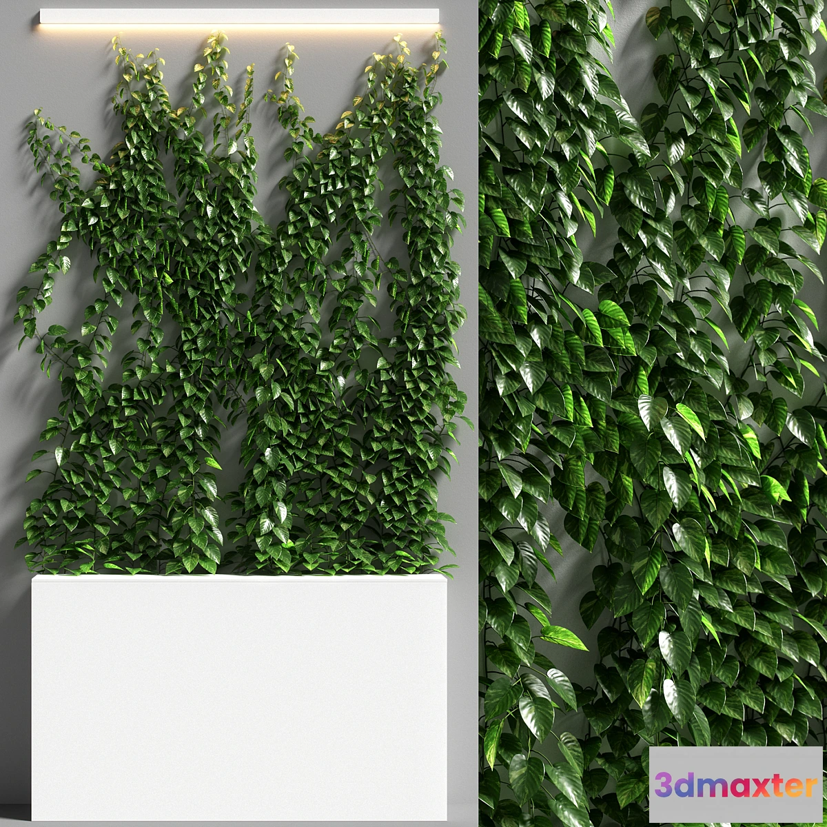1346085 - vertical garden 08 3D Max
