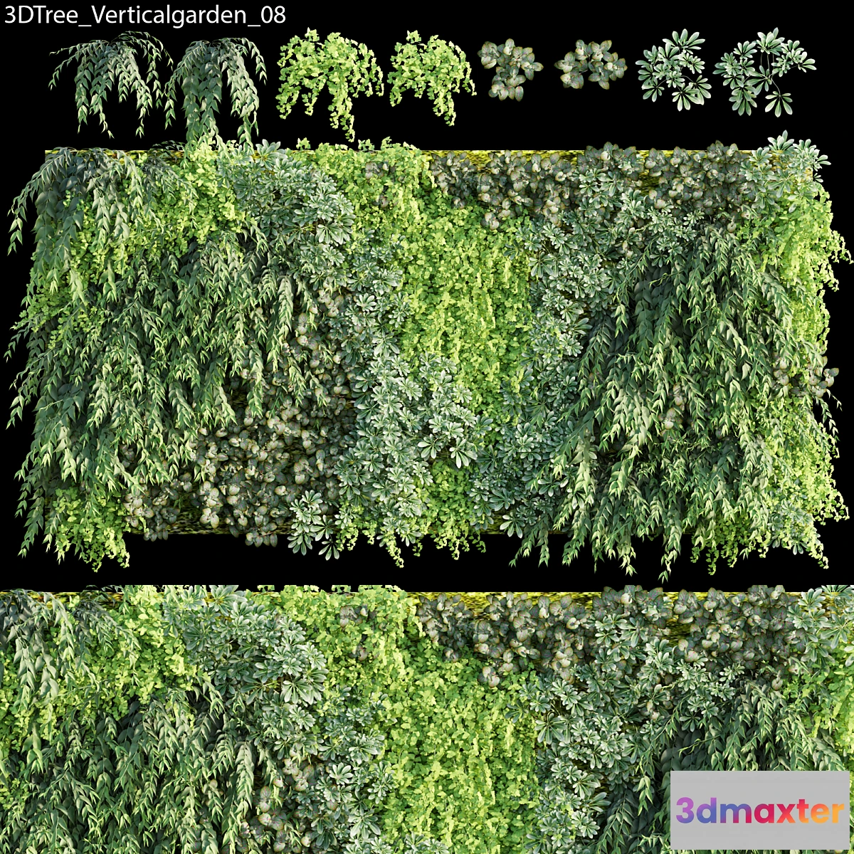 1346856 - Verticalgarden - Green wall 08 3D Max