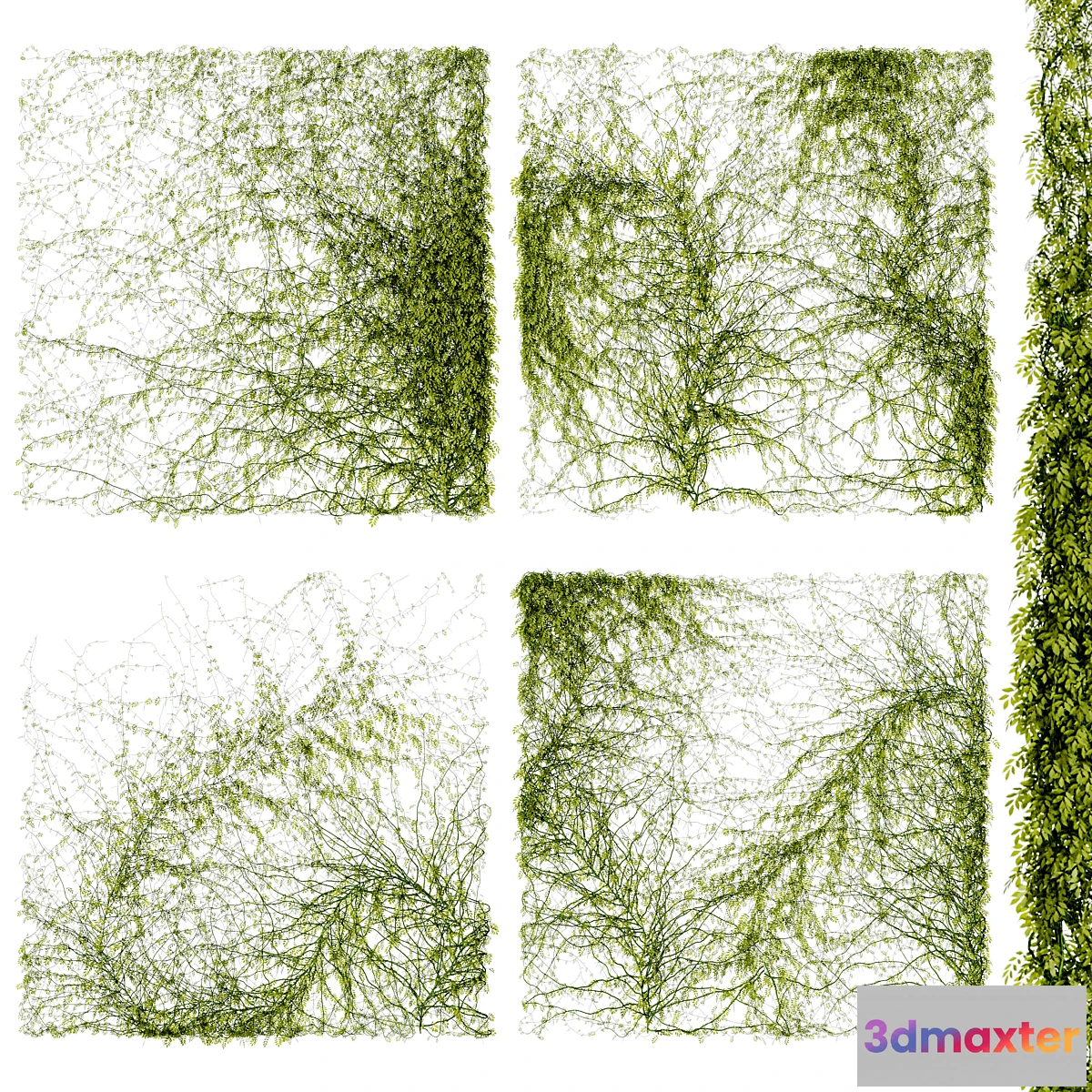 1350235 - Leaves for walls v4 3D Max