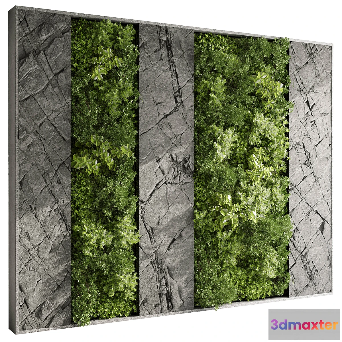 1352778 - Vertical Wall Garden With Rock frame - 27 3D Max