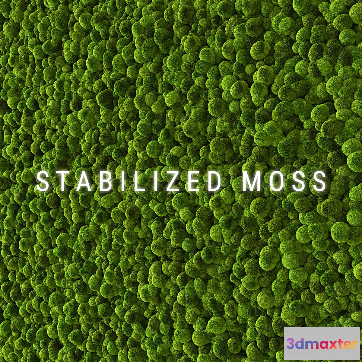 1357151 - Stabilized Moss 2 3D Max