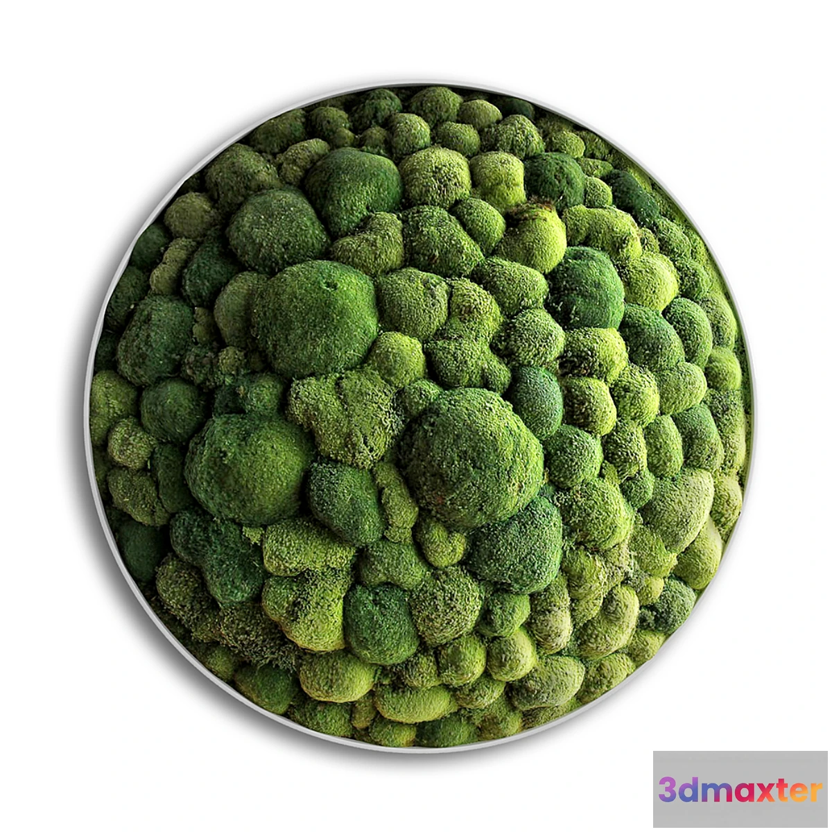 1391728 - panel moss boulder 3D Max