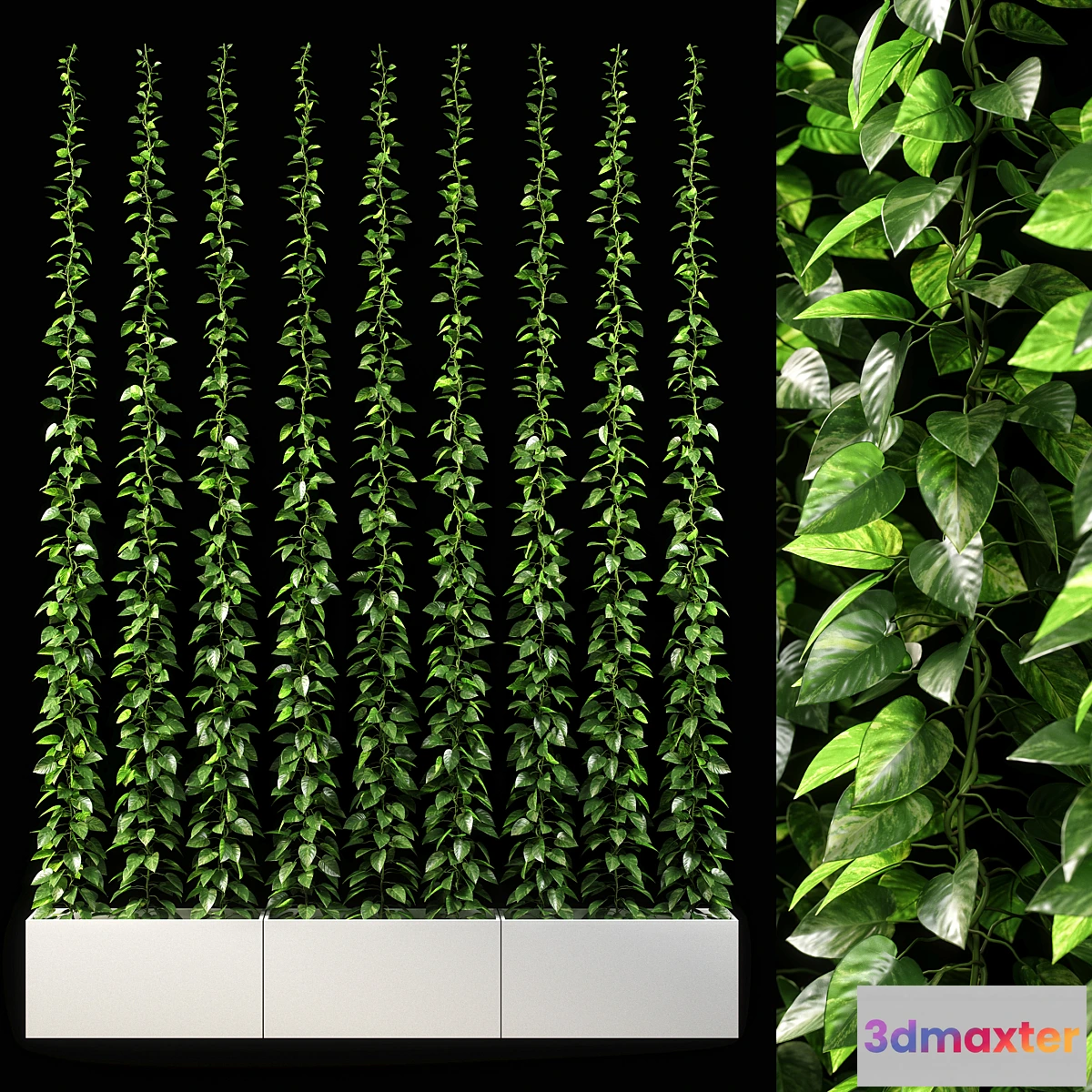1392482 - vertical garden 09 3D Max