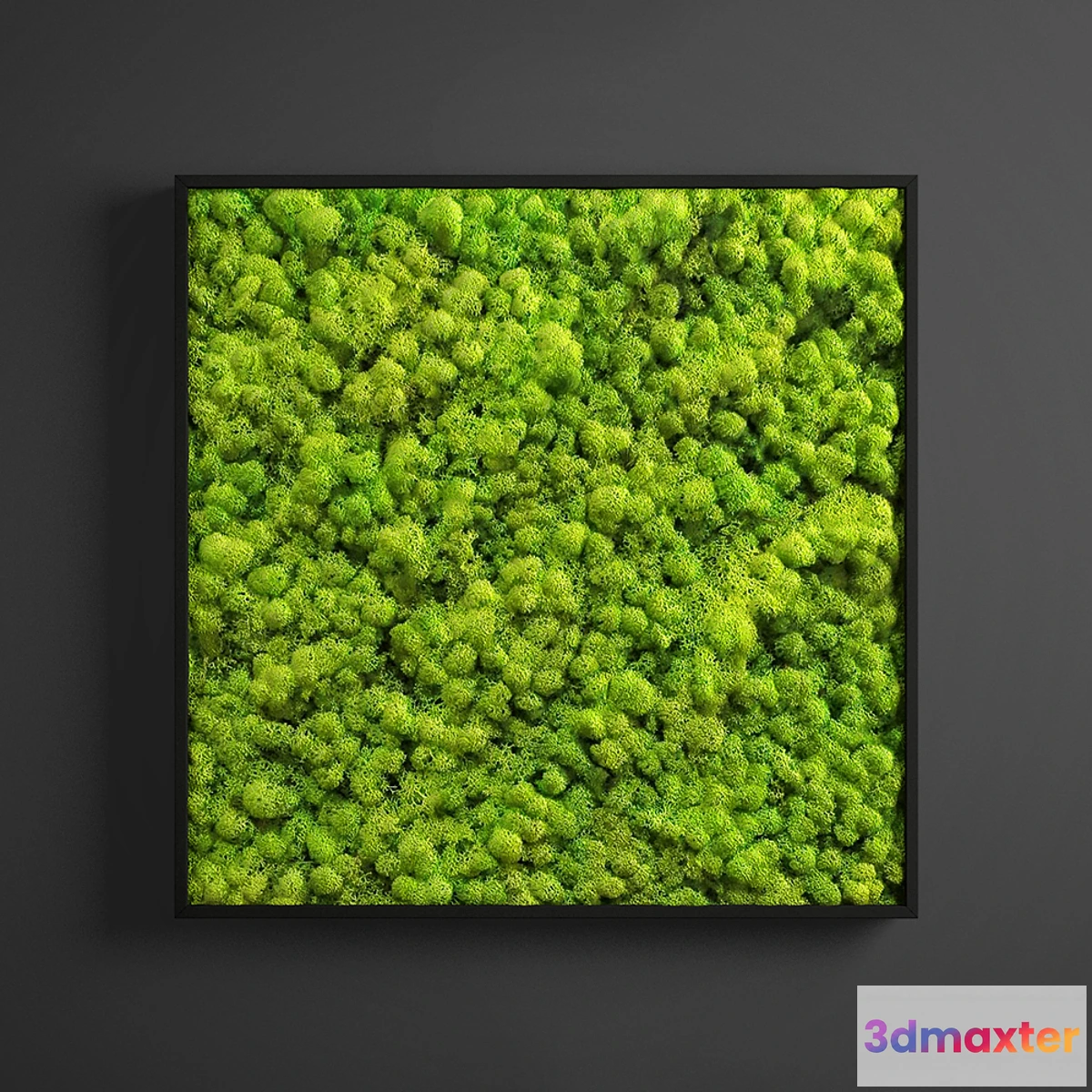 1392796 - panel moss square 3D Max