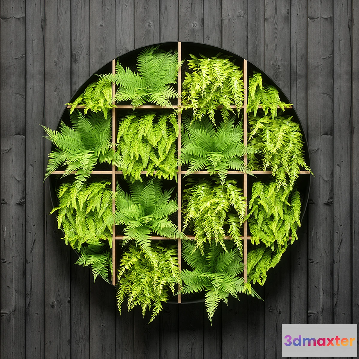 1392982 - fern wall panel 3D Max