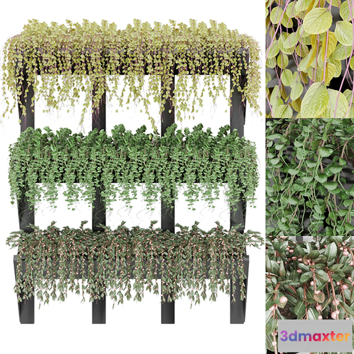 1395036 - Collection plant vol 8 3D Max