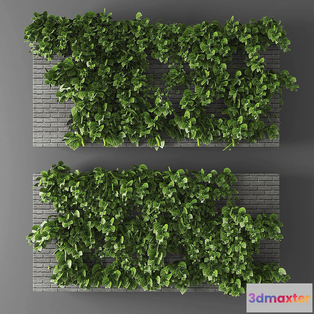 1395508 - Vertical garden 010 3D Max