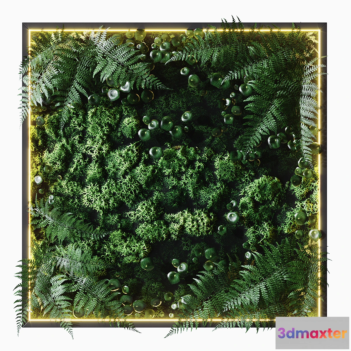 1409070 - Fitowall 3D Max