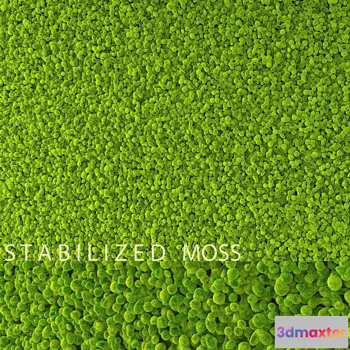 1410750 - Stabilized Moss 3D Max