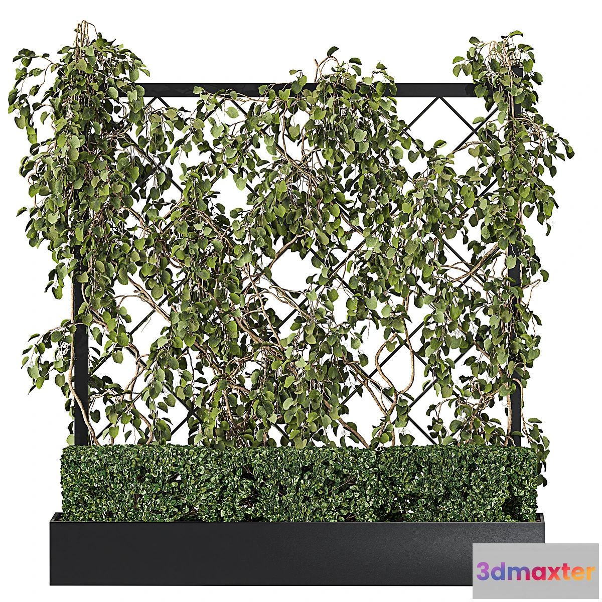 1420072 - Vertical Garden - Planter with trellis 3D Max