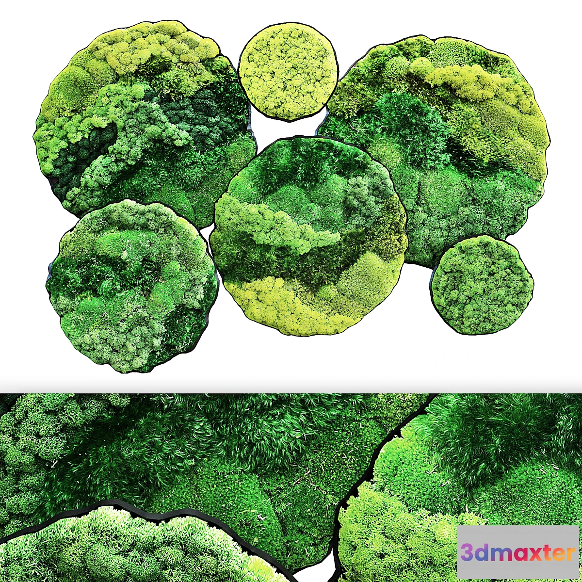 1425156 - Moss panno 3D Max