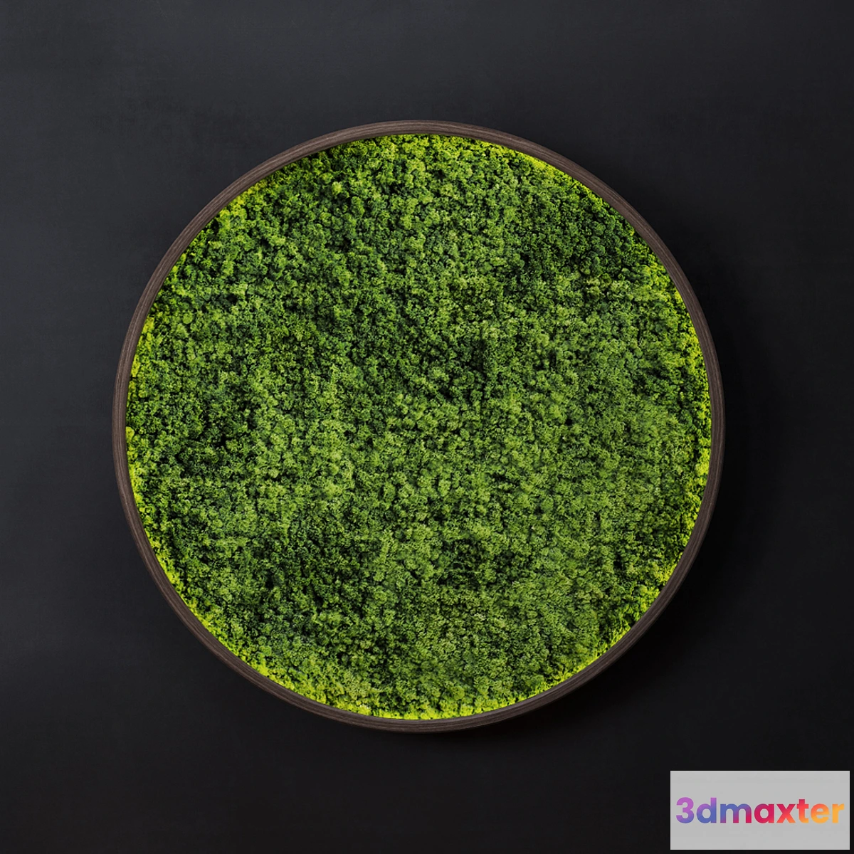 1426618 - Moss wall disk 3D Max