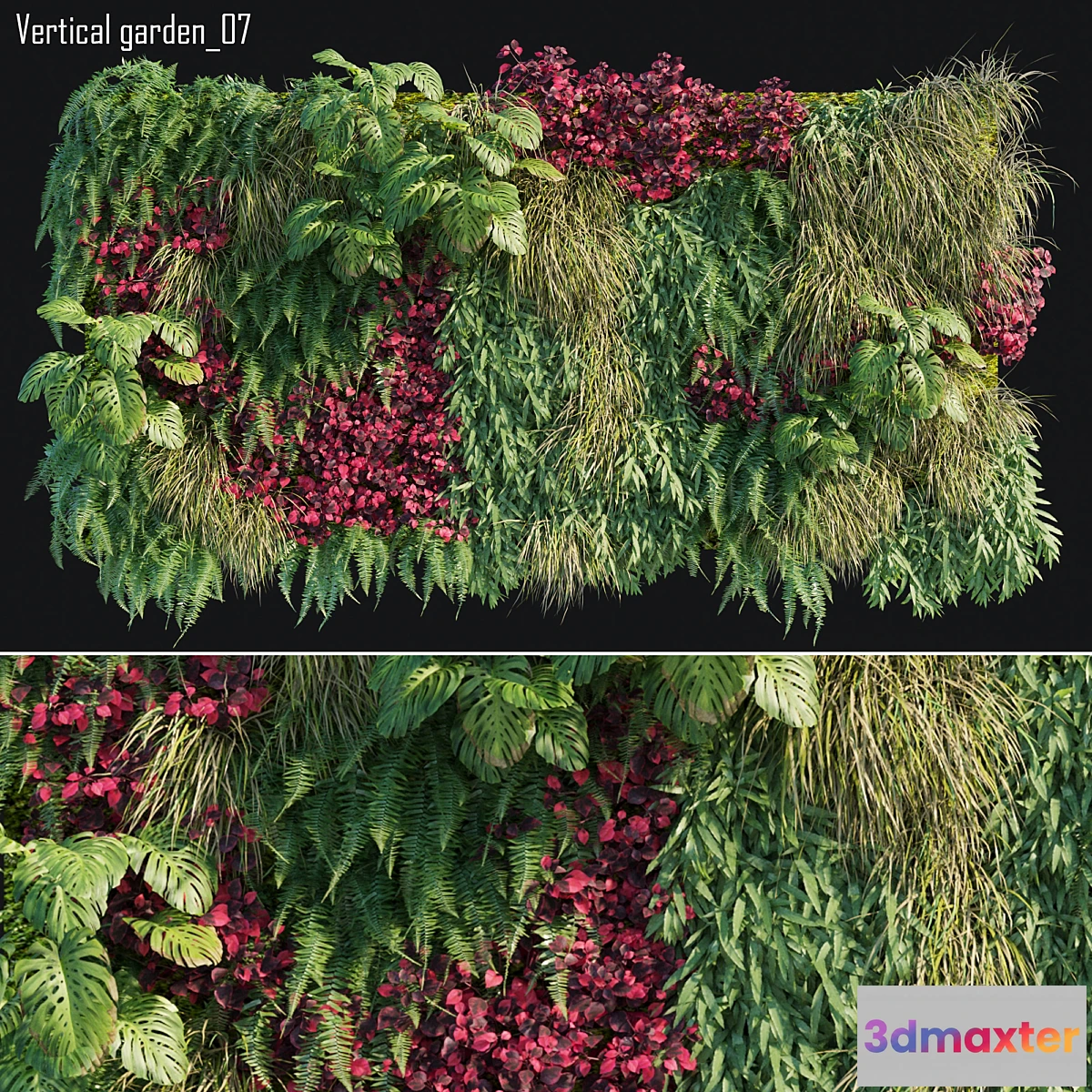 1429050 - Vertical garden 07 3D Max