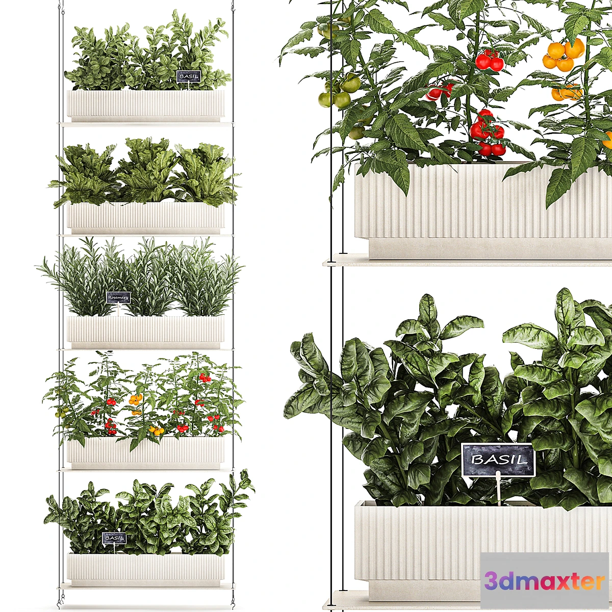 1430390 - Plant collection 1411 3D Max