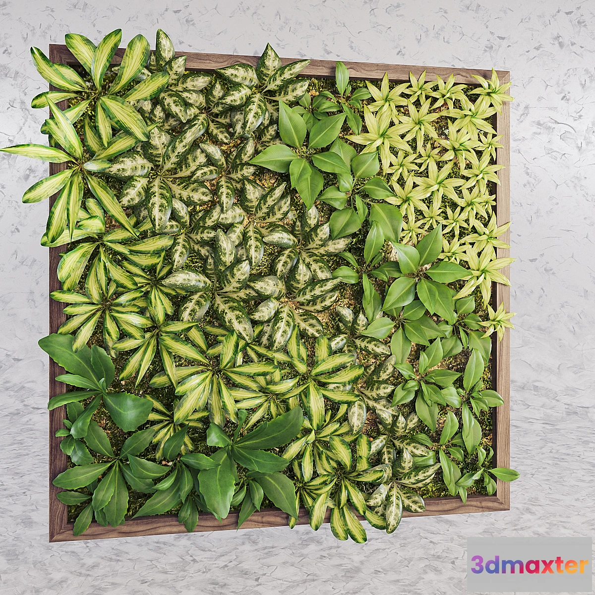1430420 - Fytowall diverse 3D Max