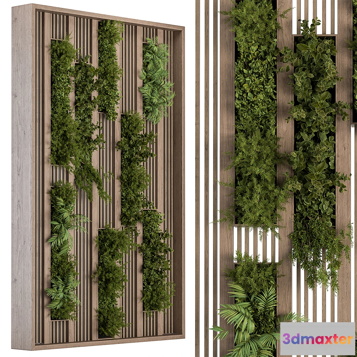 1432024 - Green Wall - Plants partition 03 3D Max