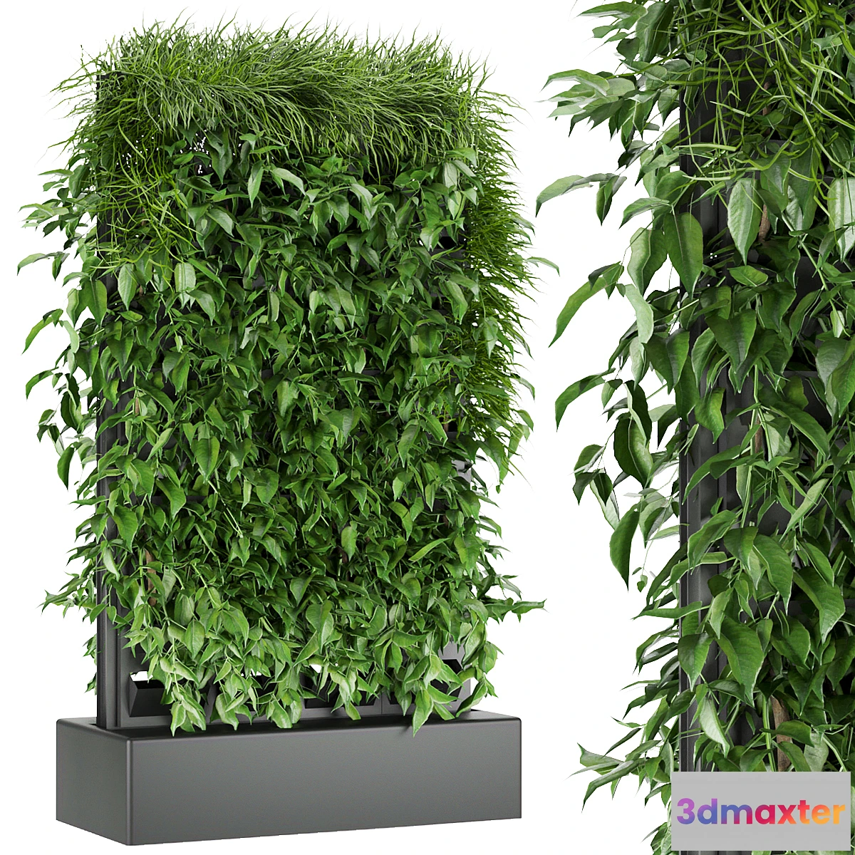 1439672 - Collection plant vol 168 3D Max