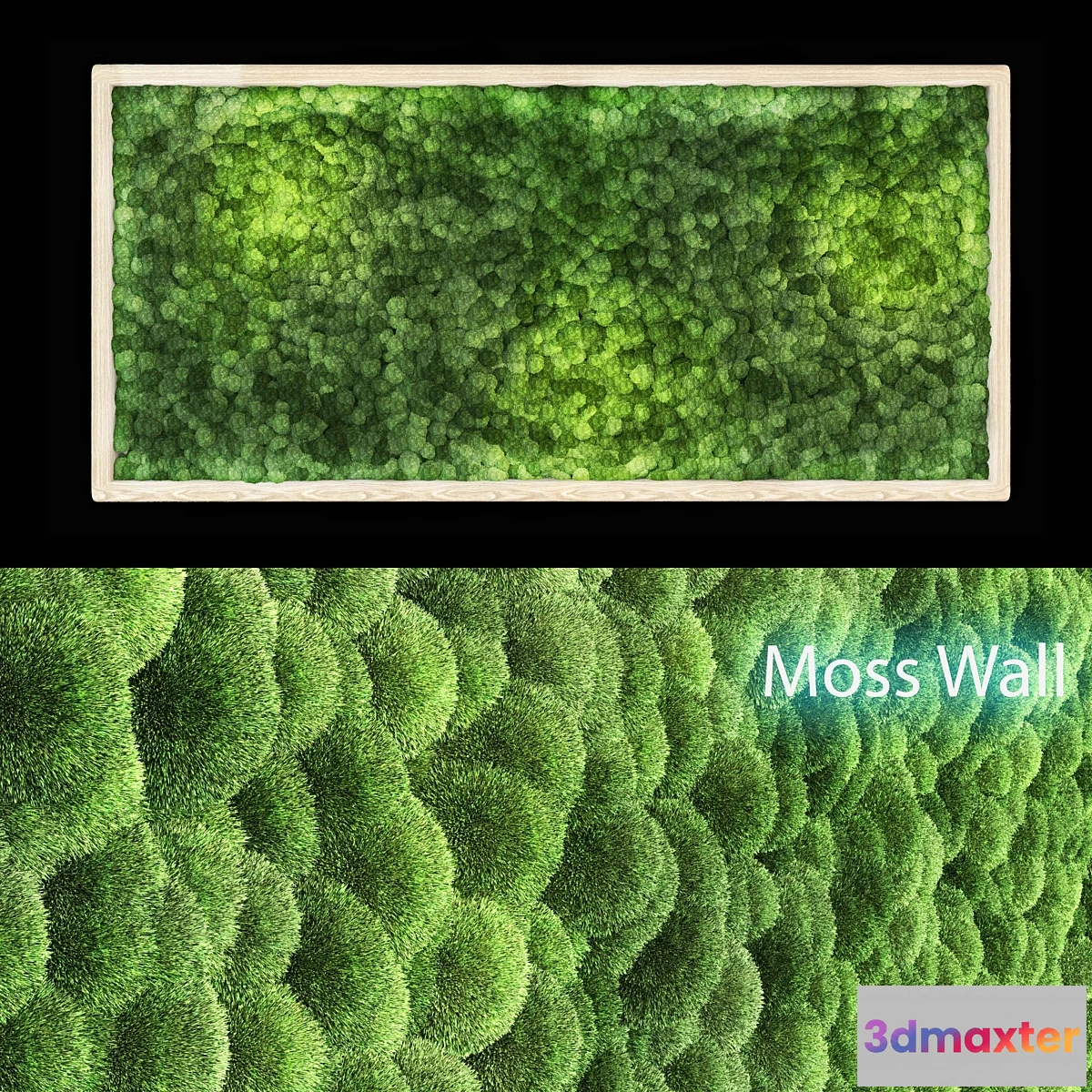 1442788 - moss wall 3D Max