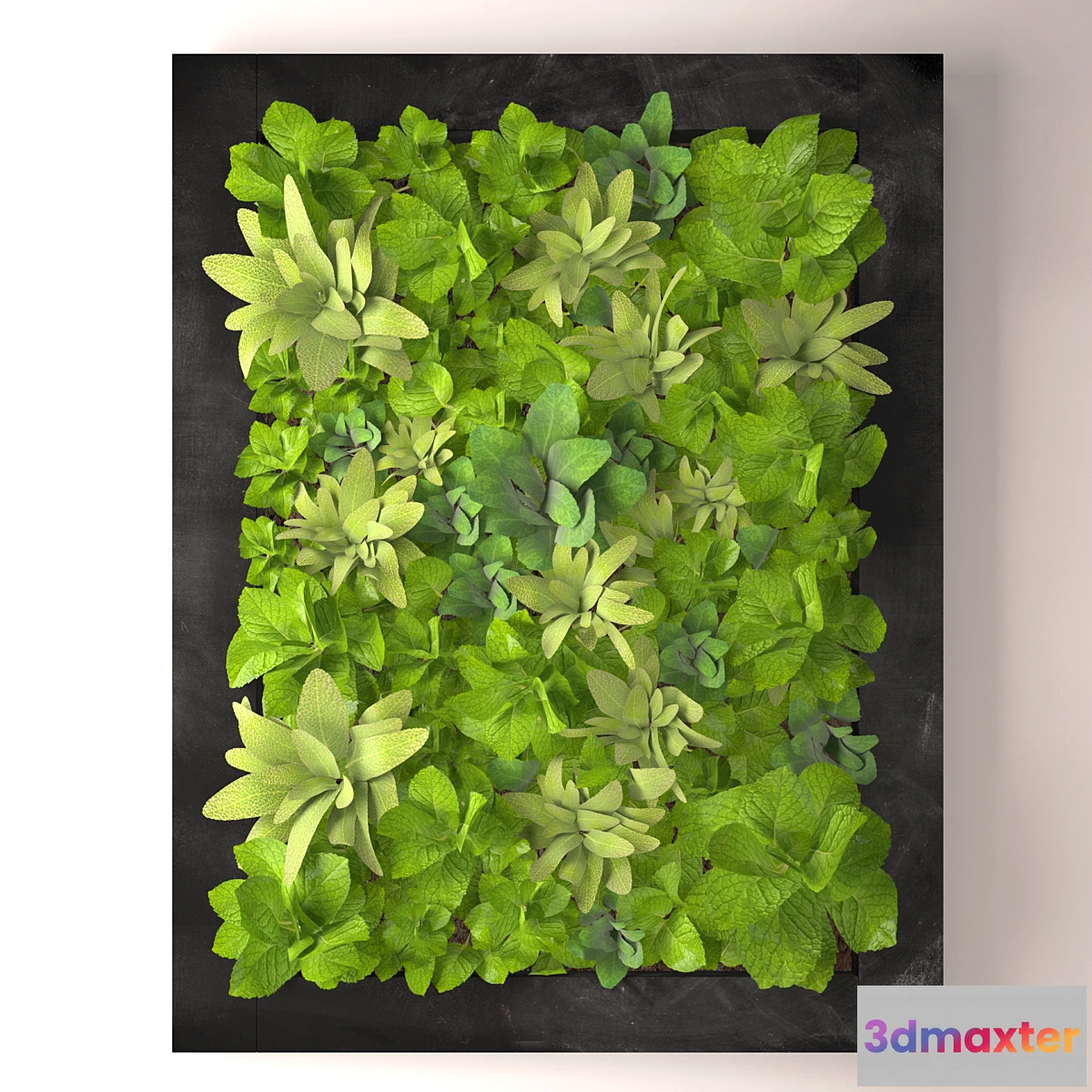 1445894 - Fytowall 3D Max